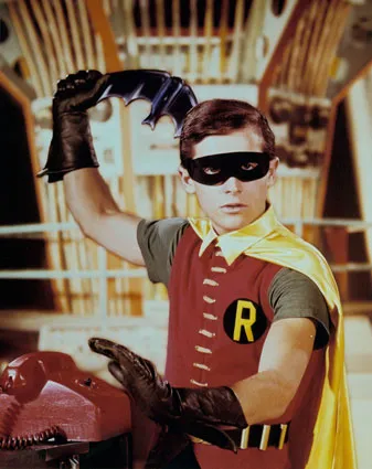 Robin